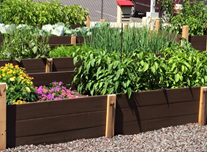 The Award Winning “Garden Project” at the North Pocono Public Library