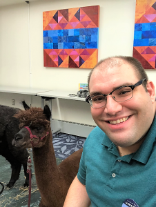 alpaca selfie